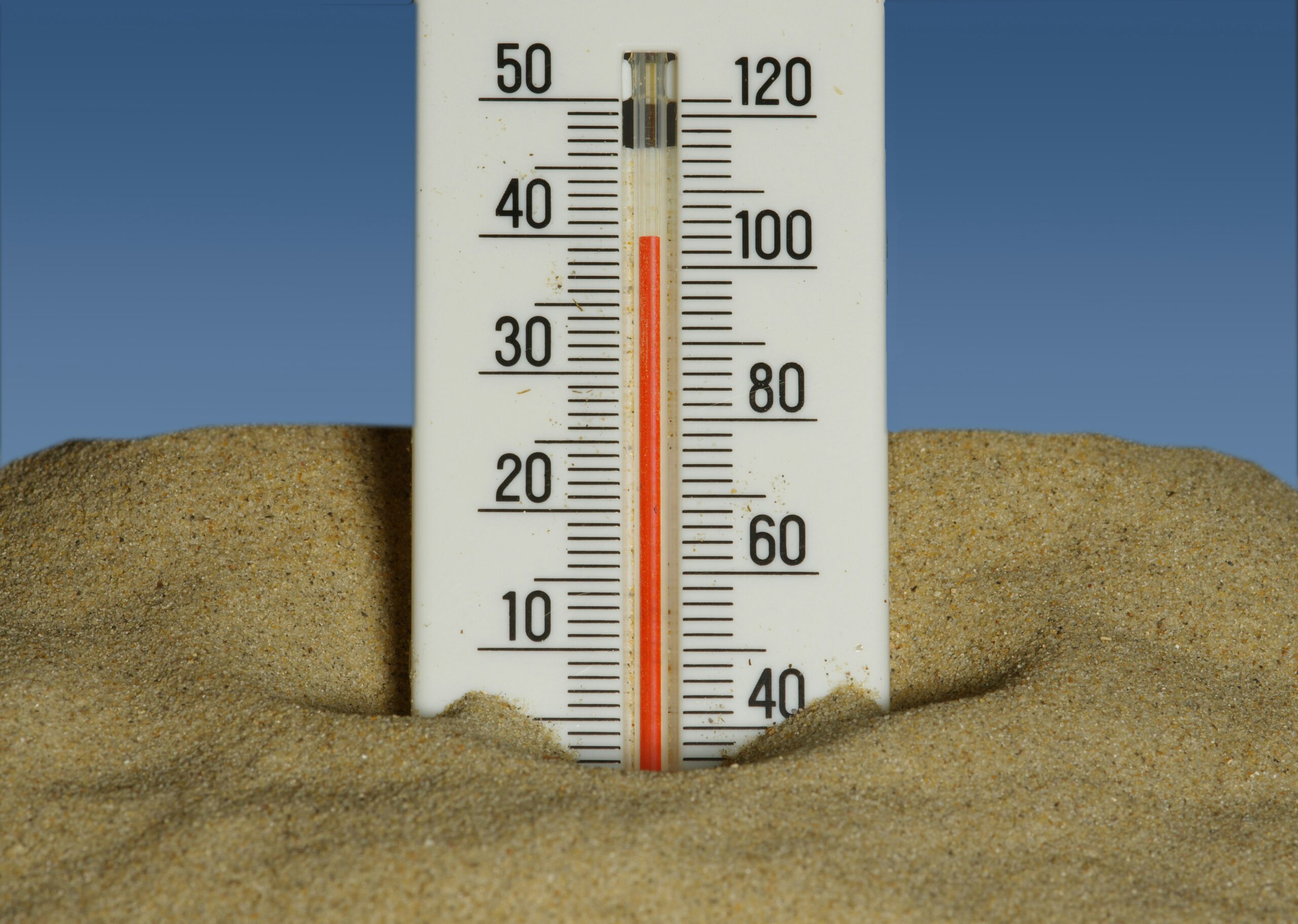 Alerte canicule
